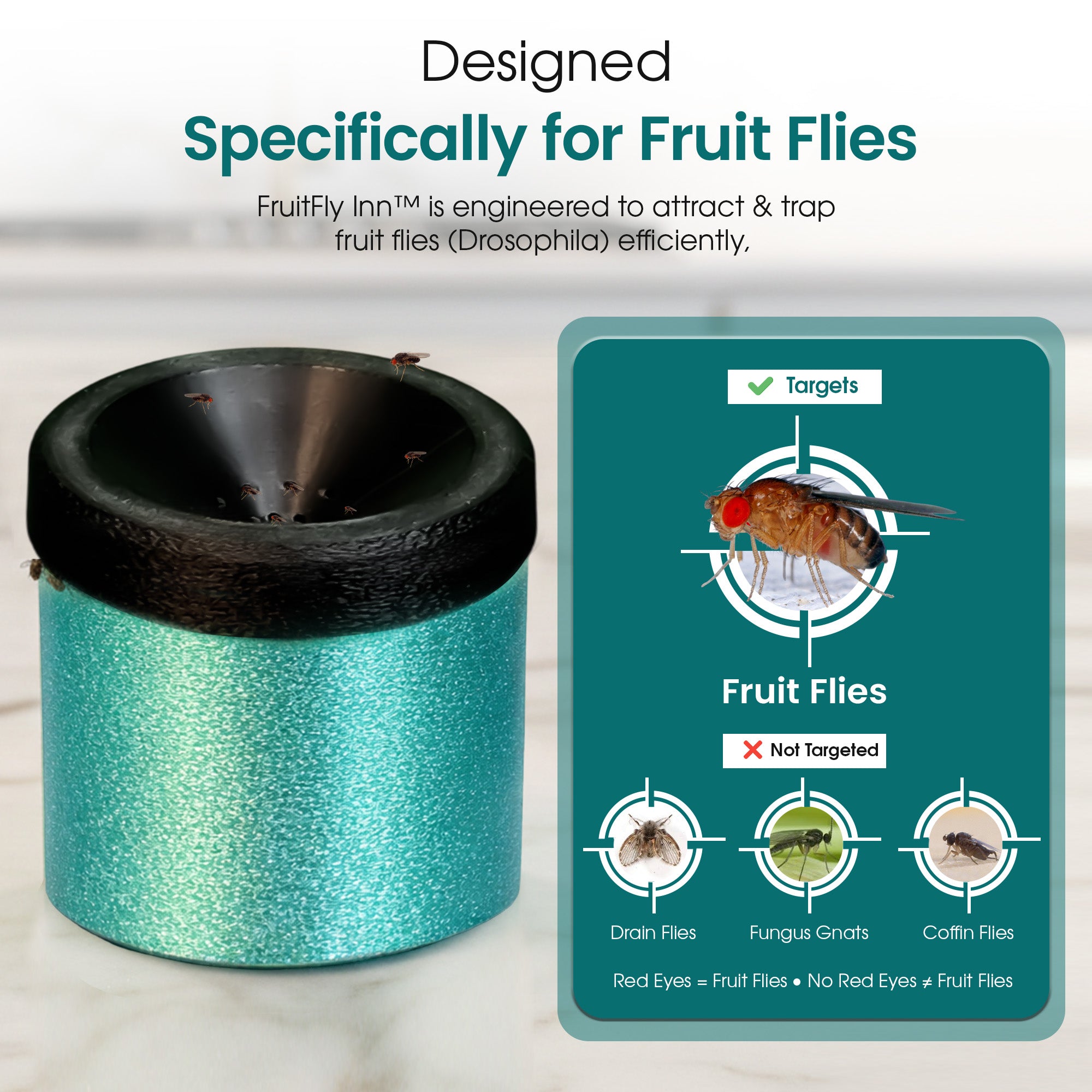 FruitFly Feast™ Advanced Bait Enhancer for FruitFly Inn™