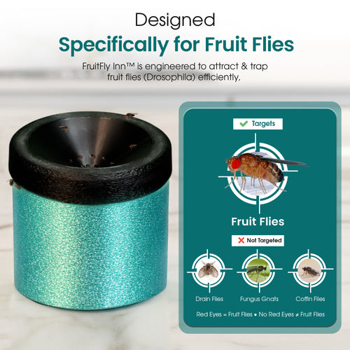 FruitFly Feast™ Advanced Bait Enhancer for FruitFly Inn™